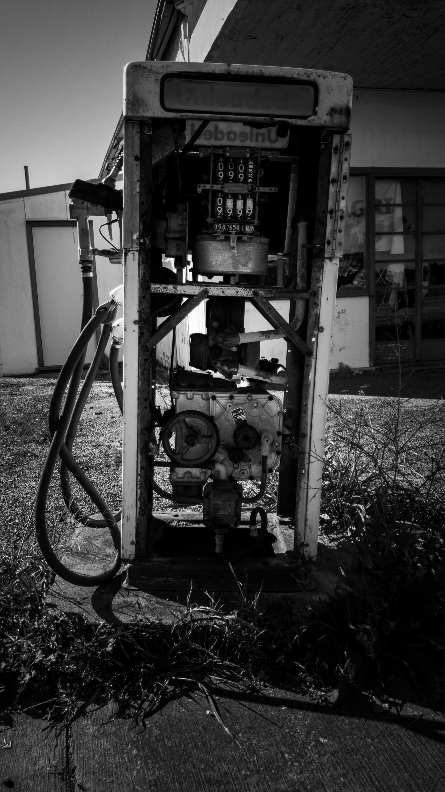 Hello world!